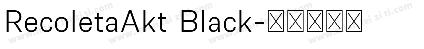 RecoletaAkt Black字体转换